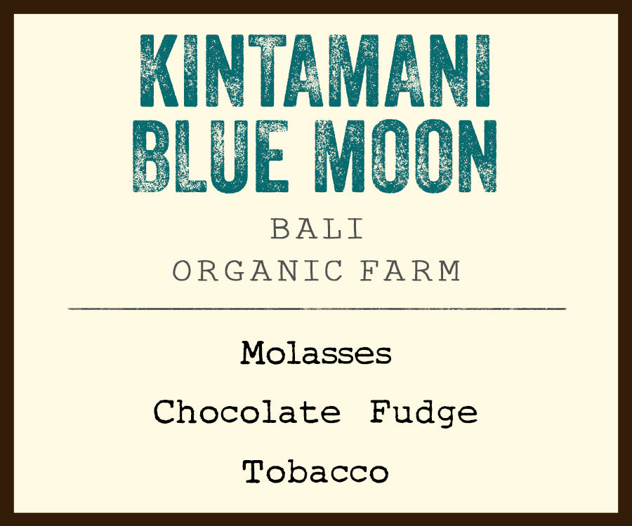 Kintamani blue moon bali coffee