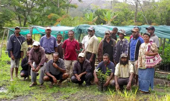 Korofeigu coffee farm