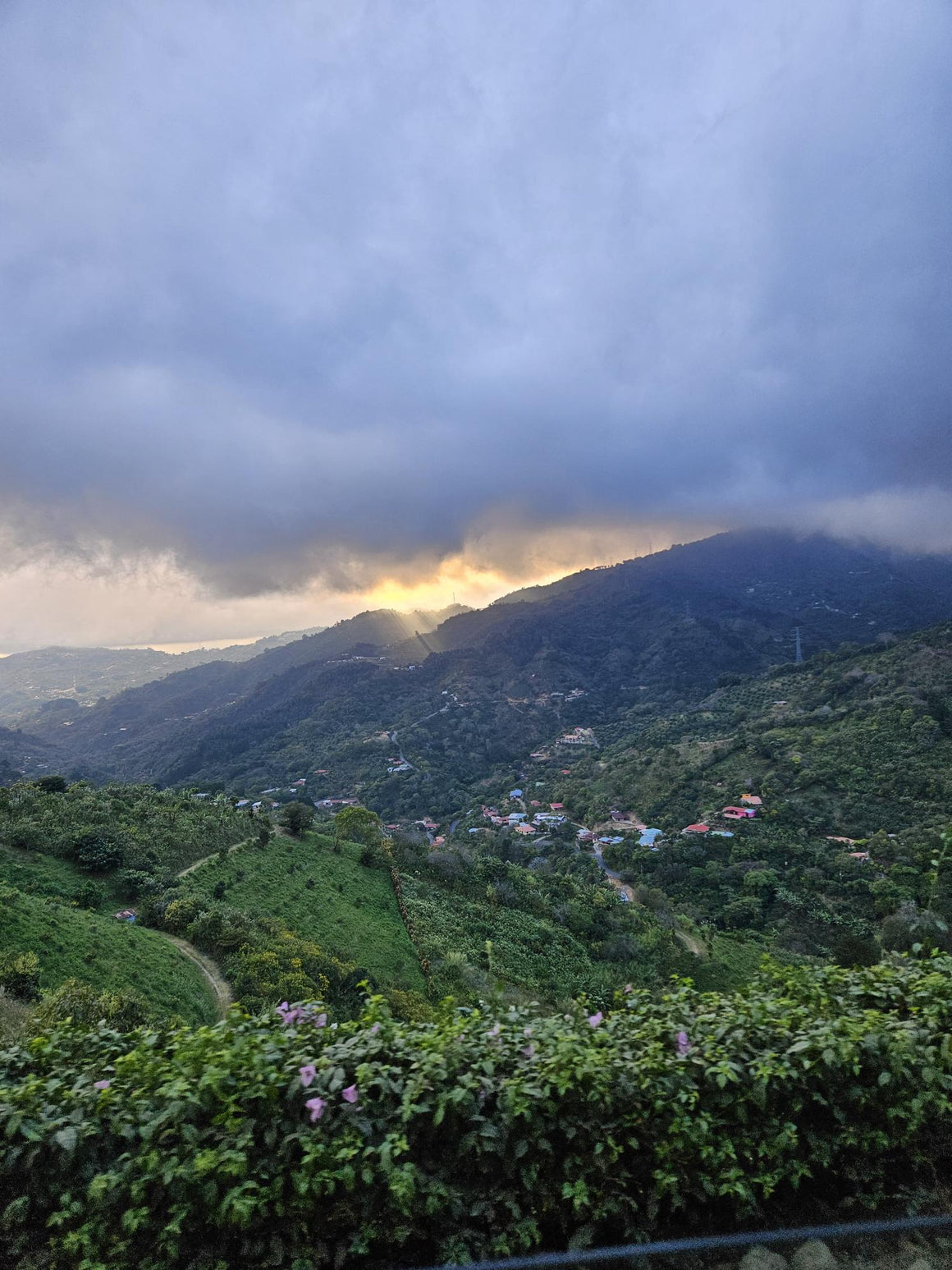 San Rafael Tarrazu coffee farm