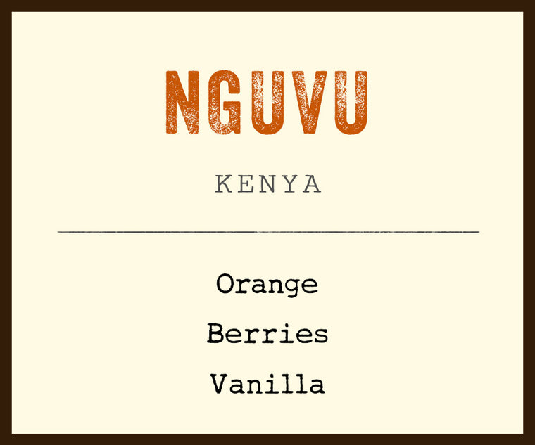 nguvu coffee kenya