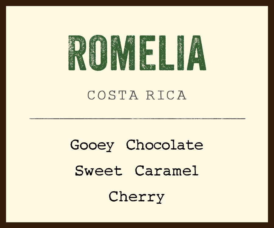 romelia costa rica coffee