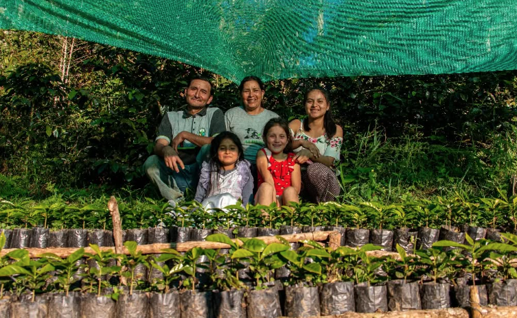 Agraria Amoju coffee