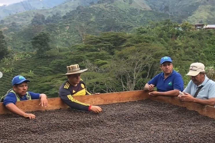 colombia tolima