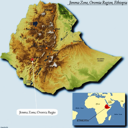 Limu coffee ethiopia