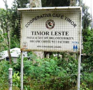 Ermera Coffee East Timor