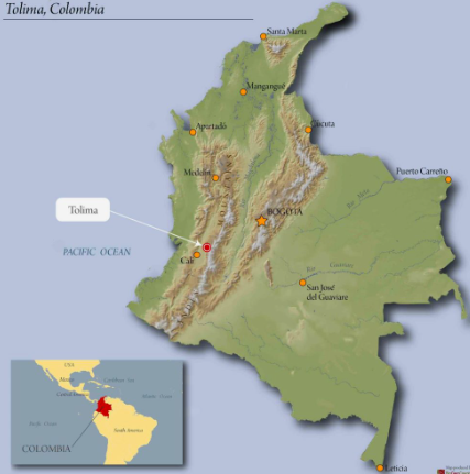 tolima coffee colombia