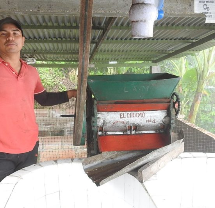 tolima coffee colombia