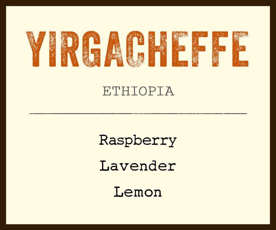 yirgacheffe coffee
