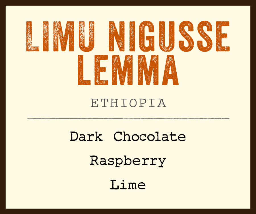Limu Nigusse Lemma coffee ethiopia