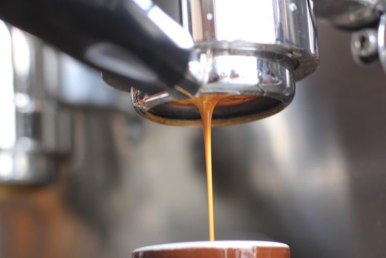 Barefoot Coffee Roasters, business photo 7